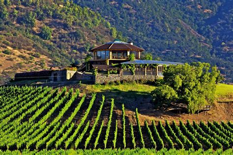 best winery tours santiago chile